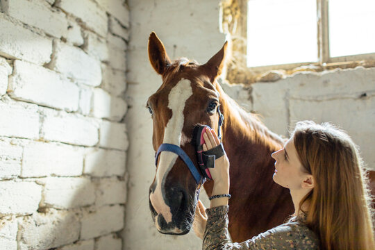 
woman cleaning a horse