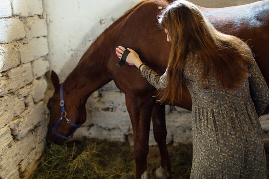 
woman cleaning a horse