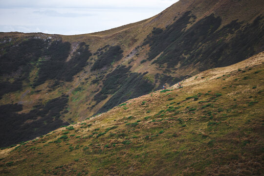 Two riders in wild mountains. 