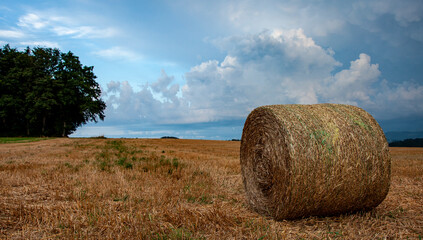 hay bales in the field © tereshkov