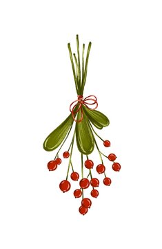 Christmas mistletoe
