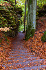 Dunkelrote Bl&auml;tter auf den Stufen zu den Schwedenl&ouml;chern in der s&auml;chsischen Schweiz