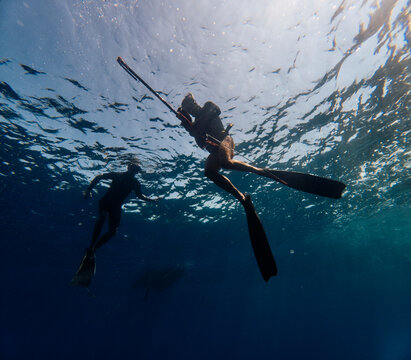 Divers floats in the sea