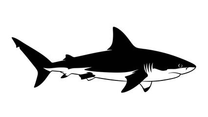 Obraz premium Black Silhouette of a Shark