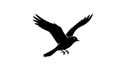 Fototapeta premium Bird in Flight Silhouette