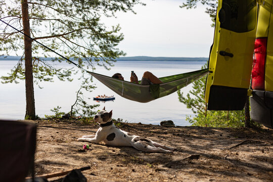 Relaxing Chill With Phone In Hammock In Nature