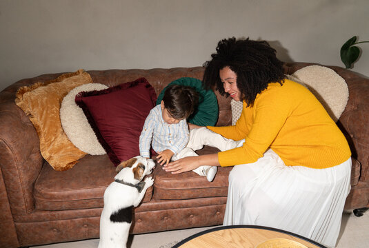 Child interaction with his family&rsquo;s pet dog