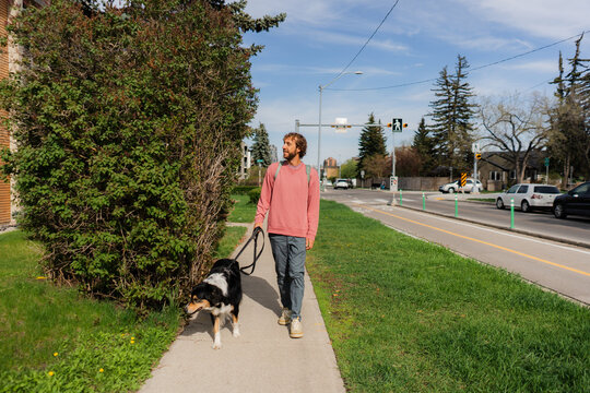 Man on the walk with dog in the neighbourhood 