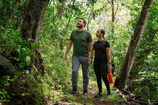 Hiking in the forest