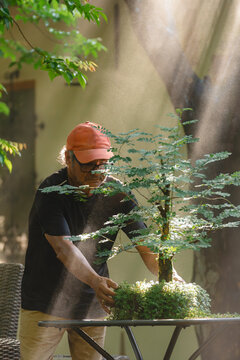 Man caring for a bonsai under sunlight