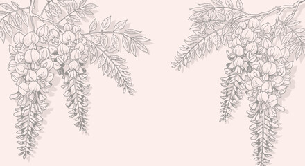 Obraz premium Delicate Wisteria Flowers and Leaves, Elegant Botanical Illustration on a Soft Background