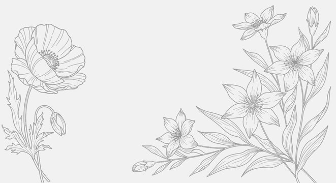 Delicate Art Floral Illustrations of Poppies and Starflowers on a Soft Background