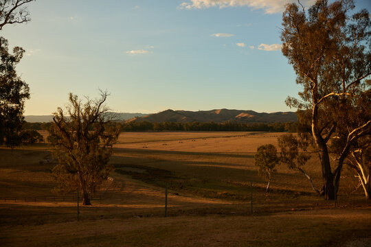 Australian farm landscape 