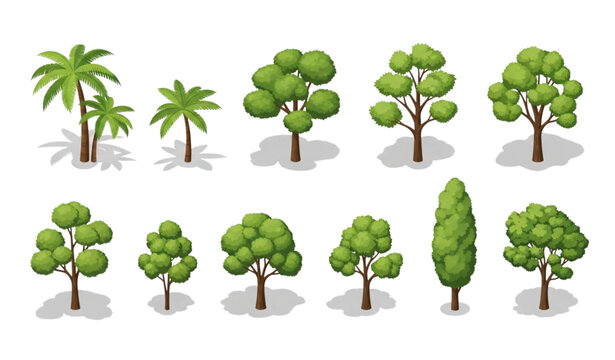 Architectural Isometric Tree Set &ndash; Palm and Deciduous Green Trees with Soft Shadows Vector