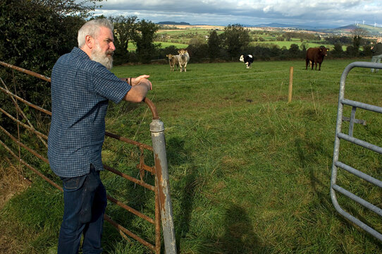 Man leaning on fence