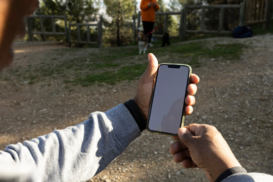 Anonymous man's hands holding smartphone in sunlight in nature