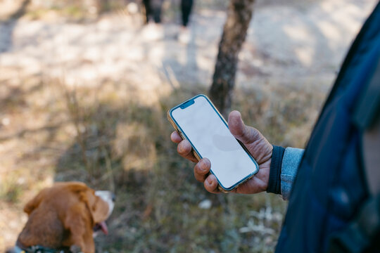 Anonymous man's hand holding smartphone in nature while walking dog