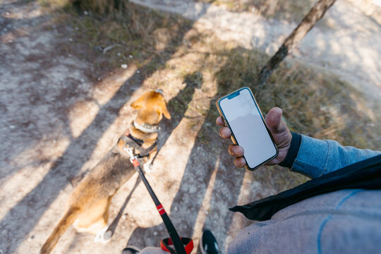 Anonymous man's hand holding smartphone in nature while walking dog