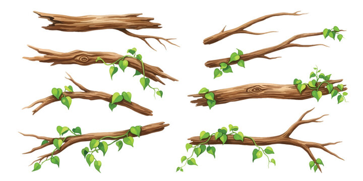 Watercolor set of weathered rustic wooden branches twigs wrapped with green ivy climbing vines, isolated on transparent background