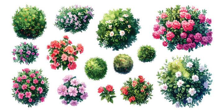 Watercolor set of top view bush shrub spring flower, garden architecture landscape plan elements, isolated on transparent background