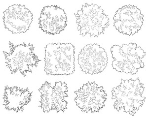 A collection of diverse 2D vegetation top-view CAD blocks, designed for architectural site plans and landscape layouts using clean, minimalist line art to represent various tree species. © นิรมล บุญเทพ