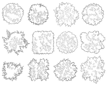 A collection of diverse 2D vegetation top-view CAD blocks, designed for architectural site plans and landscape layouts using clean, minimalist line art to represent various tree species.