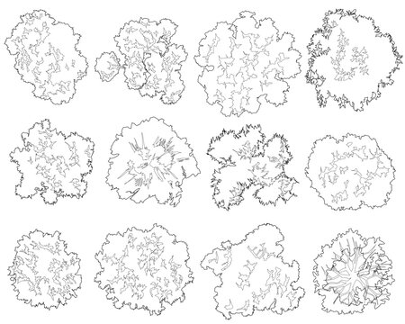 A comprehensive set of 2D top-view vegetation outlines. These symbols focus on organic textures and complex canopy patterns, ideal for high-detail architectural site plans and landscape masterplans.