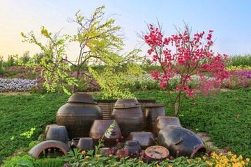 Obraz premium Traditional Korean earthenware fermentation jars in a garden with blooming spring flowers and natural landscape.