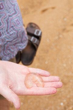 Holding translucent object found on sandy beach in Australia