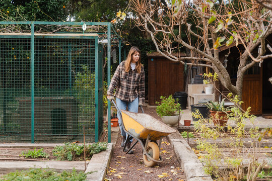Young Woman Pushing Wheel Barrow While Gardening At Nursery
