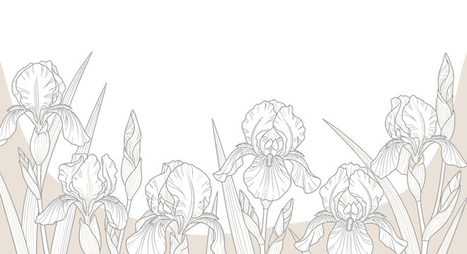 Elegant Art Iris Flowers and Leaves on a Light Background