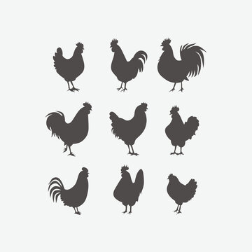 Chicken and Rooster Silhouettes Collection
