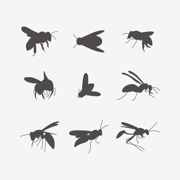 Flying Insect Silhouettes Set