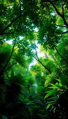 Fototapeta premium Lush rainforest canopy with dappled sunlight filtering through dense foliage, creating a vibrant green atmosphere, rainforest, light