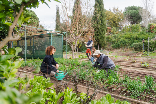 Cooperative Gardening Team Nurturing Plants And Vegetables
