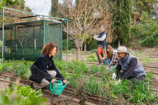 Cheerful Gardening Team Nurturing Plants And Vegetables