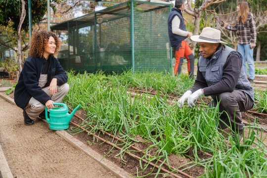 Gardening Team Nurturing Plants And Vegetables At Greenhouse