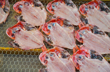 網の上で天日干しされる金目鯛の干物