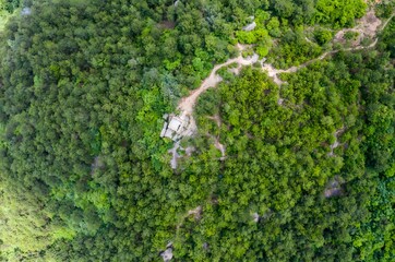 Fototapeta premium Secret Mountain Forest Structure - Aerial View