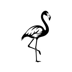 Obraz premium flamingo standing elegant bird vector