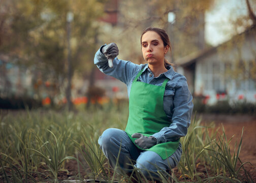 Farmer Sitting in the Garden Thinking Showing Thumbs Down. Gardener outdoors expressing disapproval of crop growth feeling frustrated