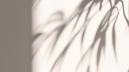 Shadow On The Wall Aesthetic Background