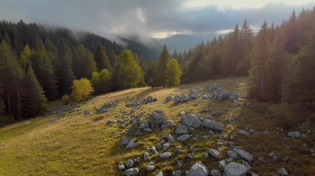 A serene mountain landscape with rocks and trees viewed from above during sunrise
