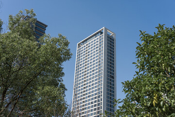 Obraz premium Modern high-rise building surrounded by green trees under a clear blue sky