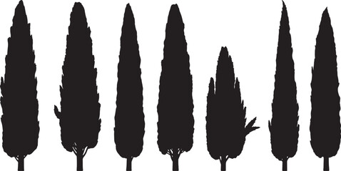 Black Solid Mediterranean Cypress Tree Silhouettes Set of Six on White Background © Dreamfly