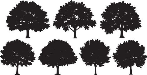 Black Solid Canadian Maple Tree Silhouettes Set of Six on White Background © ShahvezGrhi 
