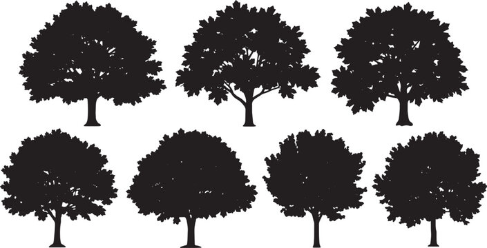 Black Solid Canadian Maple Tree Silhouettes Set of Six on White Background