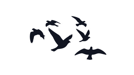 Silhouette Flock of Birds Flying in Sky.