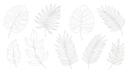 Set of various tropical leaves line art illustration.