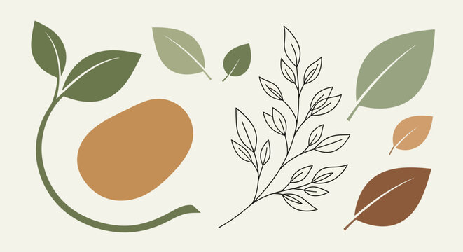 Mango Fruit with Leaves Illustration.
